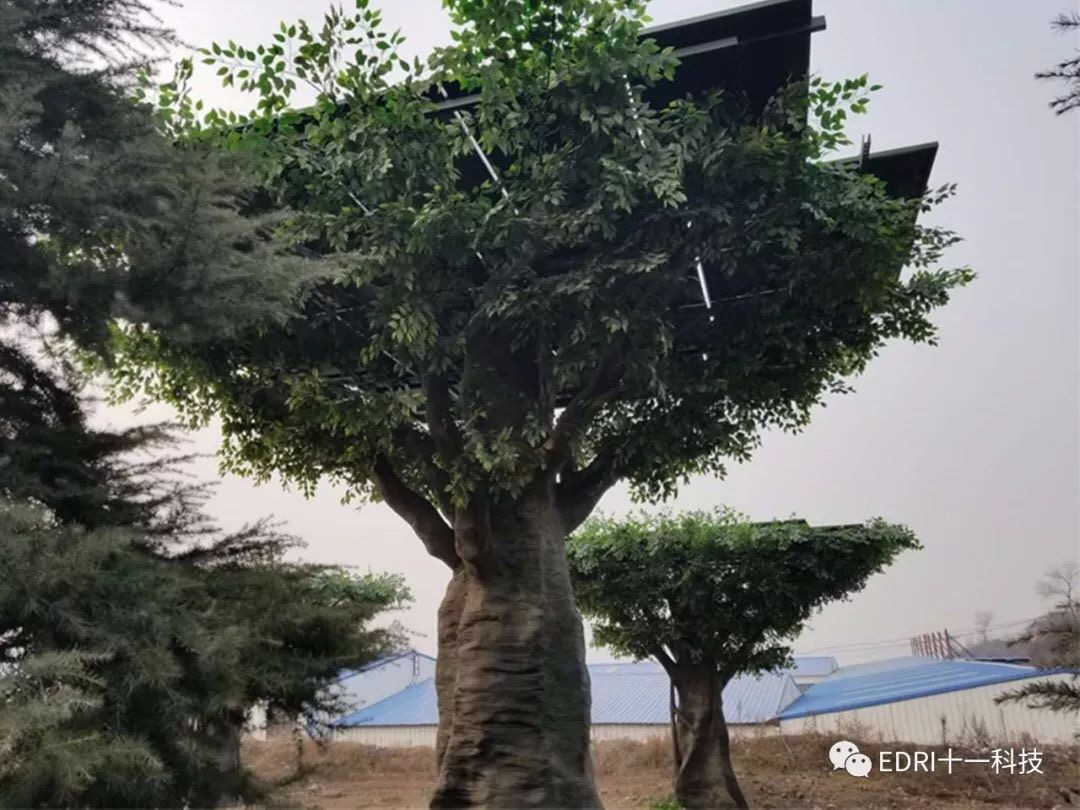 1513589589579573.jpg 24.jpg