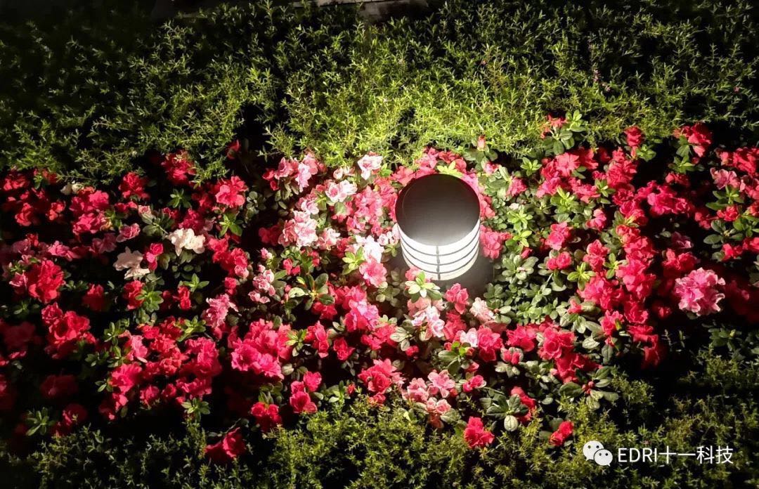 1538272513534118.jpg 13.jpg